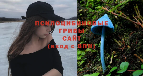 молекула духа Дубна